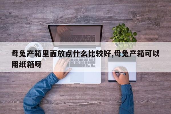 母兔产箱里面放点什么比较好,母兔产箱可以用纸箱呀